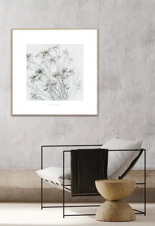 Gipsówka kwiaty obraz do domu / Fine Art Pint Taniej