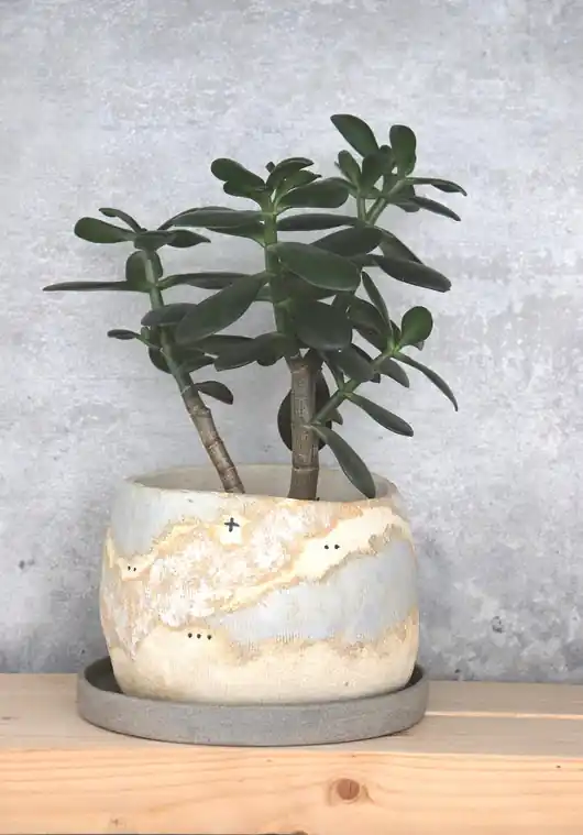Doniczka ceramiczna Promocja