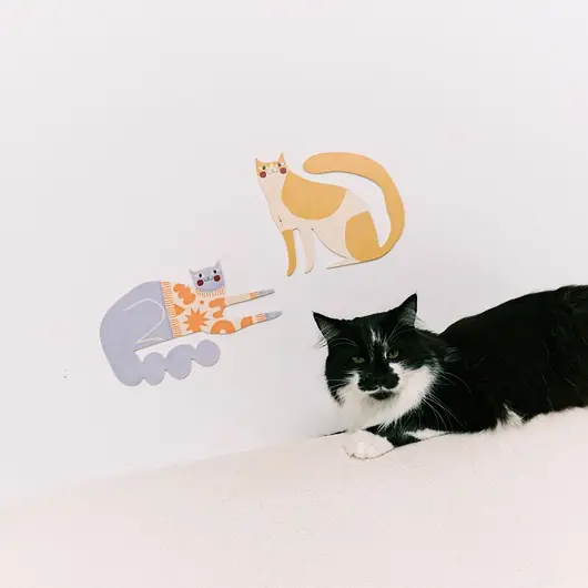 Plakat Rolls the cat - dekoracja ścienna Zniżka