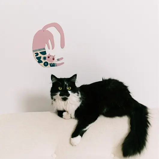Super okazja Plakat Ramen the Cat - dekoracja ścienna