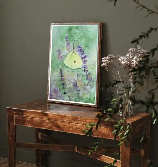 Plakat Motyl Ostatnie sztuki