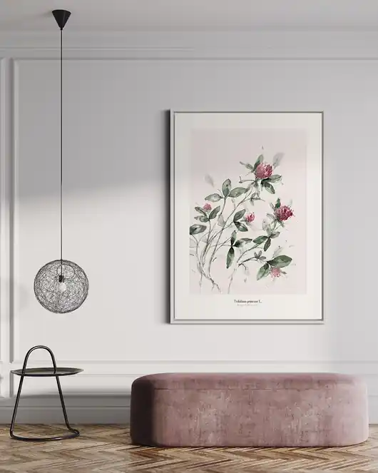 Oferta limitowana Koniczyna /print