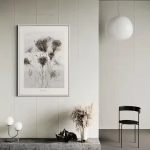 Hit cenowy Plakat Dzika marchew / Fine Art Print