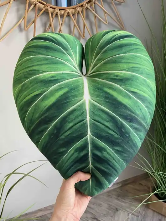 Kup teraz Poduszka Liść Philodendron Gloriosum