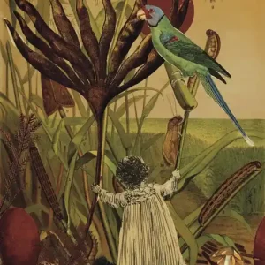 Alicja - Kolaż - plakat - wydruk Rabat