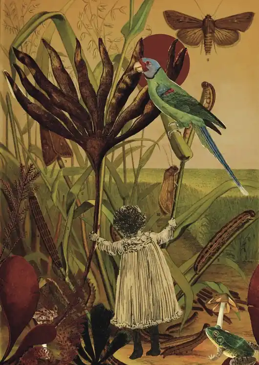 Alicja - Kolaż - plakat - wydruk Rabat