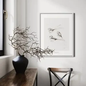 Raniuszki / ptaki / delikatna grafika /Fine Art Print Bestseller