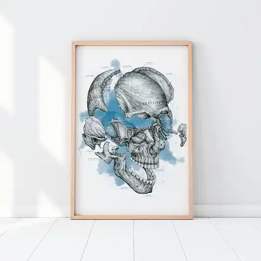 Szybka dostawa Plakat anatomiczny OVERLOADED