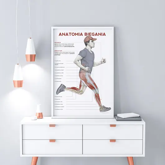 Plakat ANATOMIA BIEGANIA Okazja