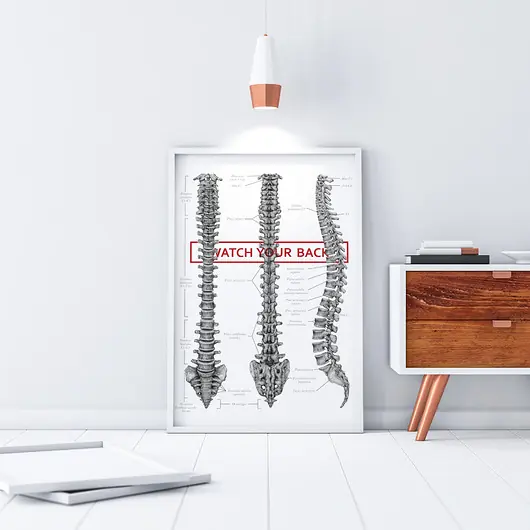 Dostępne od ręki Plakat anatomiczny WATCH YOUR BACK