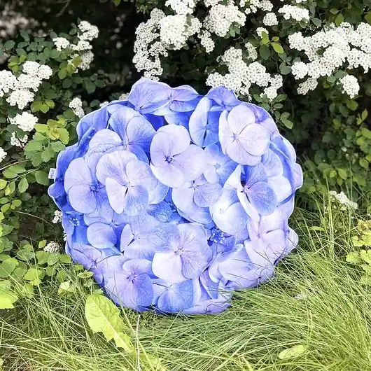 Poduszka Wodoodporna Duża Kwiat Hortensja Blue Szybka wysyłka