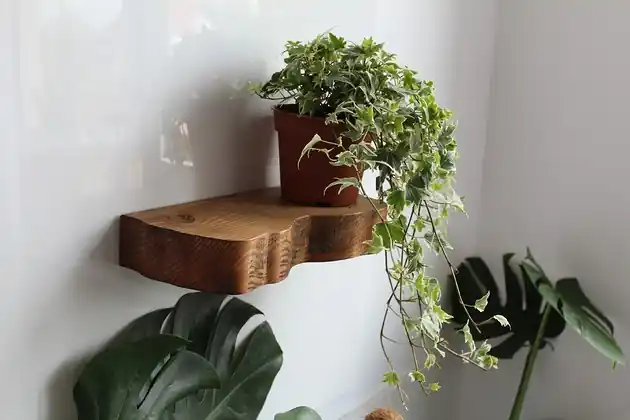 Półka ścienna z niewidocznym mocowaniem - ciemny brąz 39/14 cm Szybka dostawa