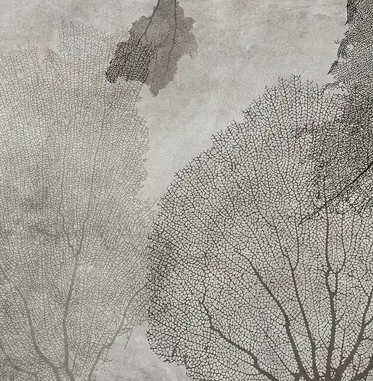 Zamów teraz Tree - Fototapeta
