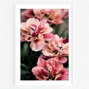 Tulipany III Ekspresowa dostawa
