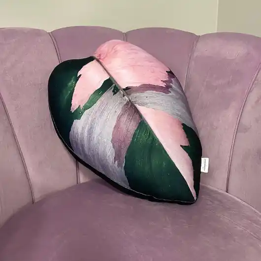 Poduszka Liść Filodendron Philodendron Pink Princess Szybka wysyłka