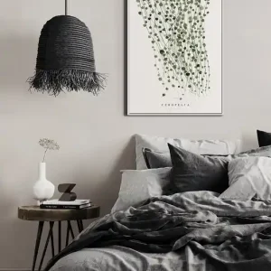Ceropegia 40x50 cm Kup online