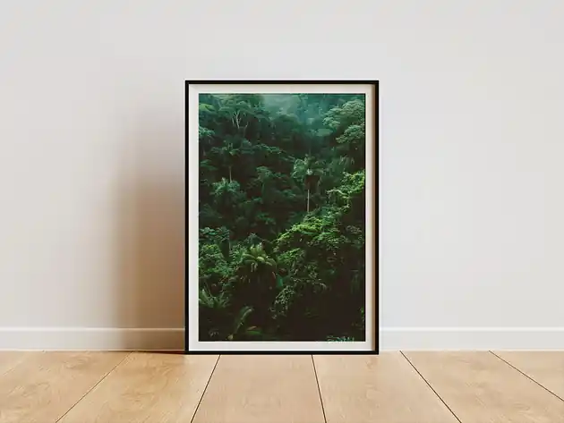 Promocja Plakat -Jungle