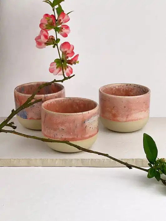 Ekspresowa dostawa Czarka sorbet / 180 ml