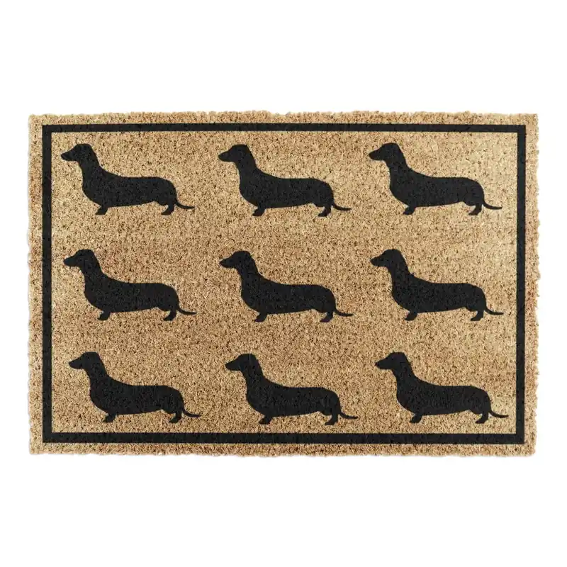 Ekspresowa dostawa Wycieraczka z włókna kokosowego 40x60 cm Dachshund – Artsy Doormats Bonami