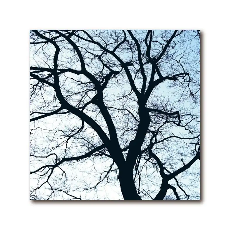 Obraz Remember Old Trees 1 Bonami Cena promocyjna