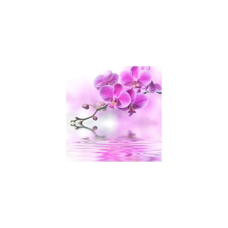 Obraz na szkle Orchidea I, 20x20 cm Bonami Ograniczona ilość