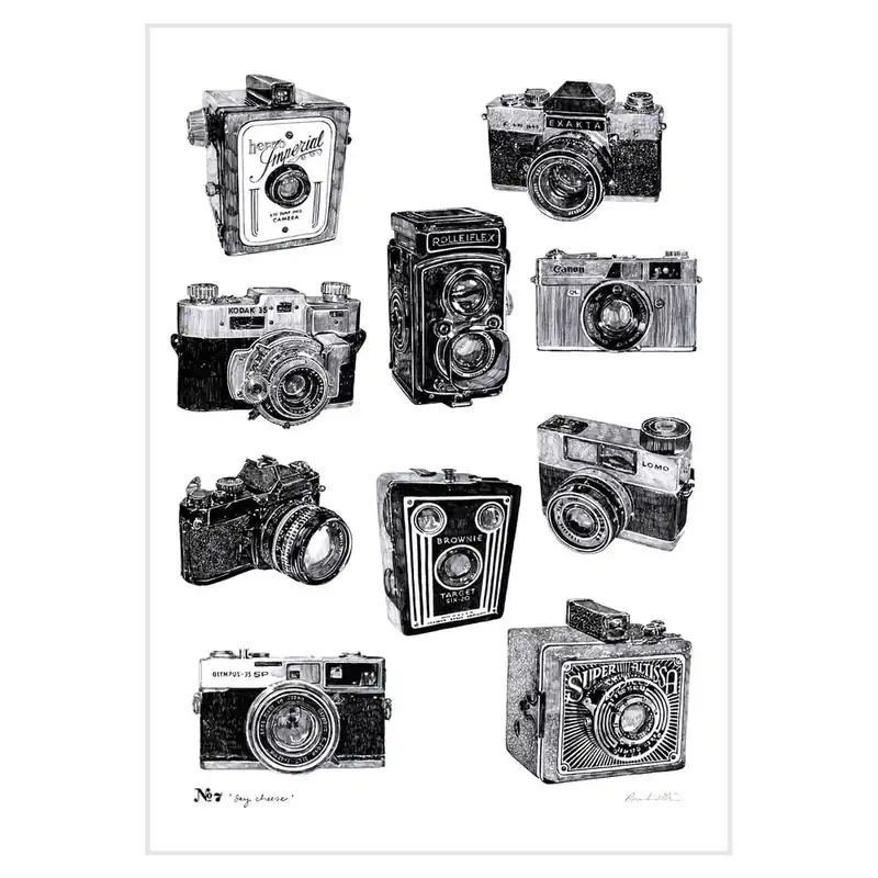 Szybka wysyłka Plakat Say Cheese Camera, 30x40 cm Bonami