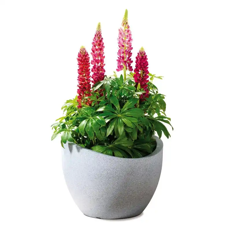 Oferta czasowa Donica ogrodowa Globe 40 cm, jasna Bonami