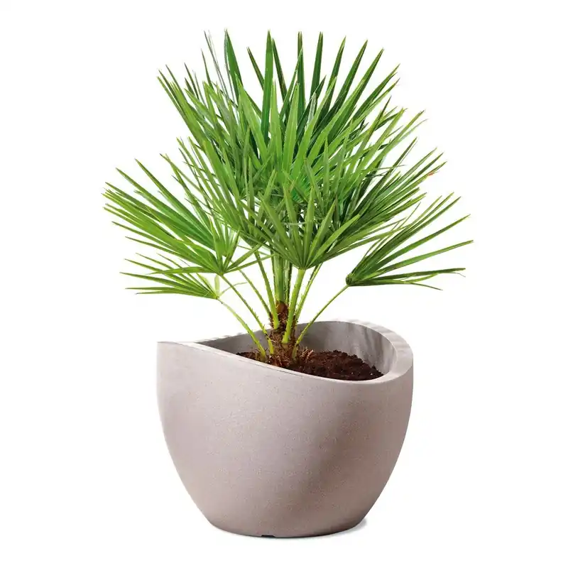 Donica ogrodowa Globe 60 cm, brązowa Bonami Zamów dziś