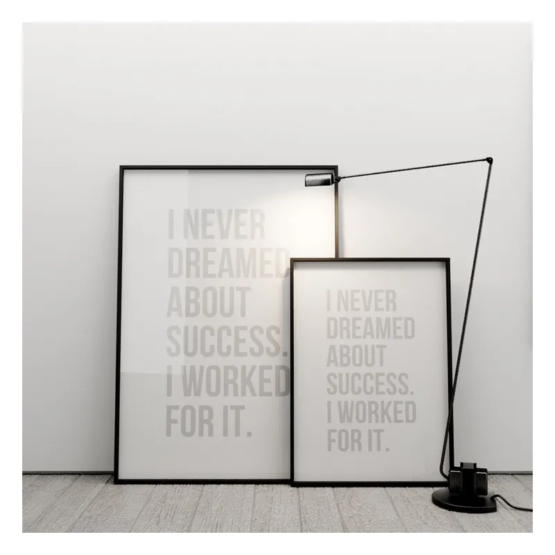 Plakat I never dreamed about success, 50x70 cm Bonami Taniej