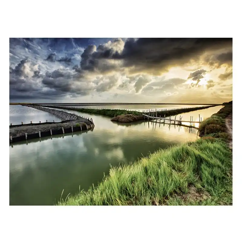 Szklany obraz Golden Daybreak 60x80 cm Bonami Kup online