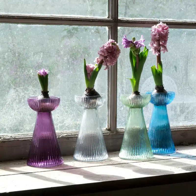Kup online Wazon Hyacinth, przezroczysty Bonami