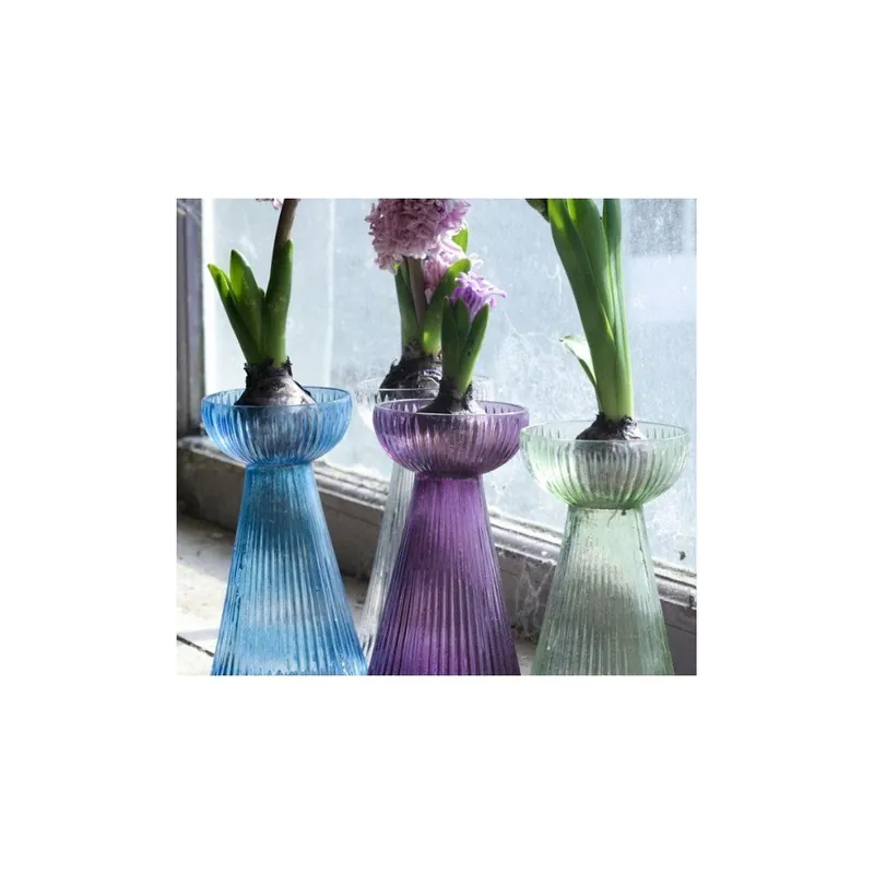 Nie przegap Wazon Hyacinth, fioletowy Bonami
