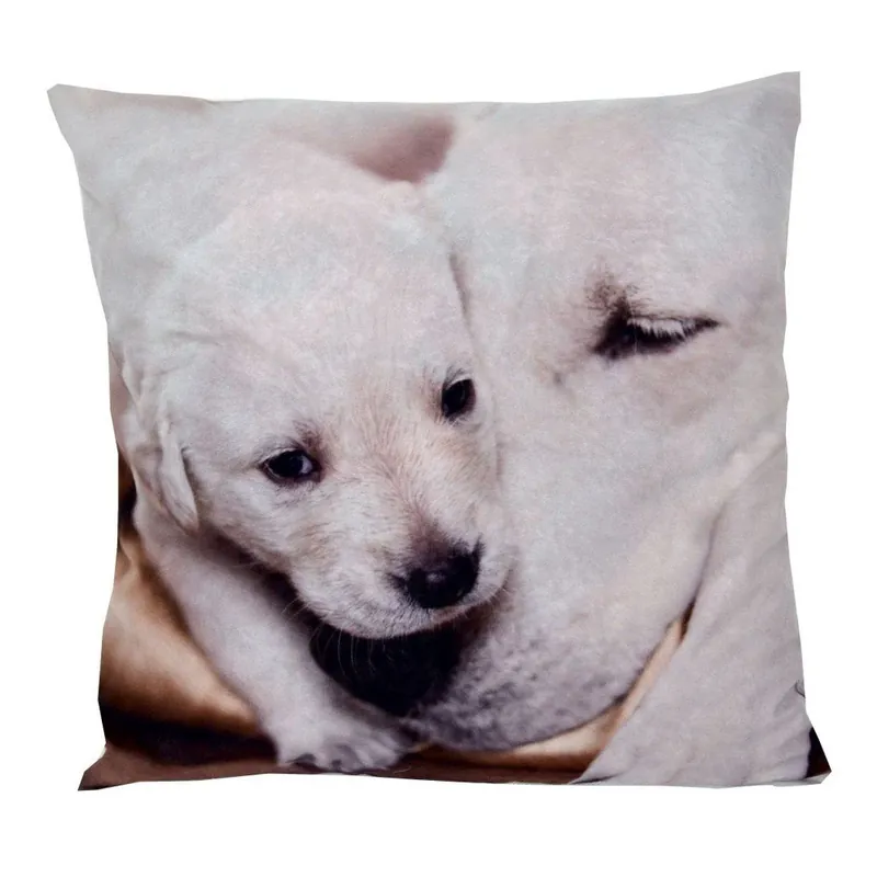 Oferta czasowa Poduszka Animals Dog, 42x42 cm Bonami