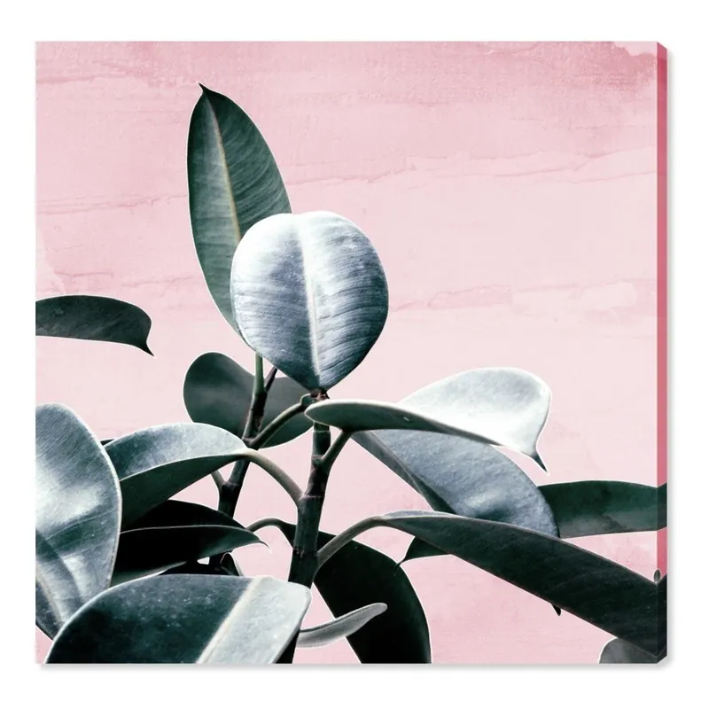 Zamów dziś Obraz Oliver Gal Plant Life Blush, 40x40 cm Bonami