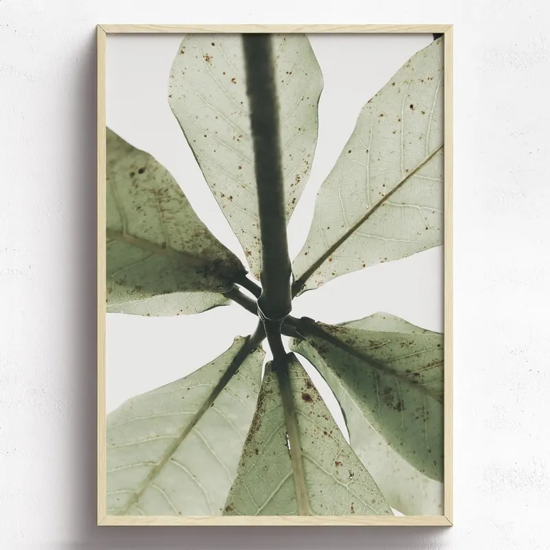 Dostępne od ręki Obraz w drewnianej ramie HF Living Tefia, 21x30 cm Bonami