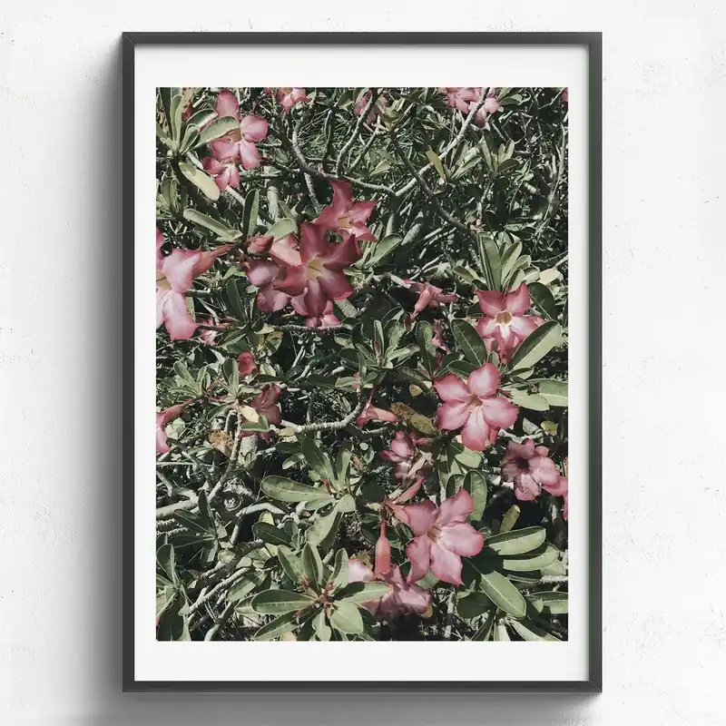 Ostatnia szansa Obraz w drewnianej ramie HF Living Maceo, 50x70 cm Bonami