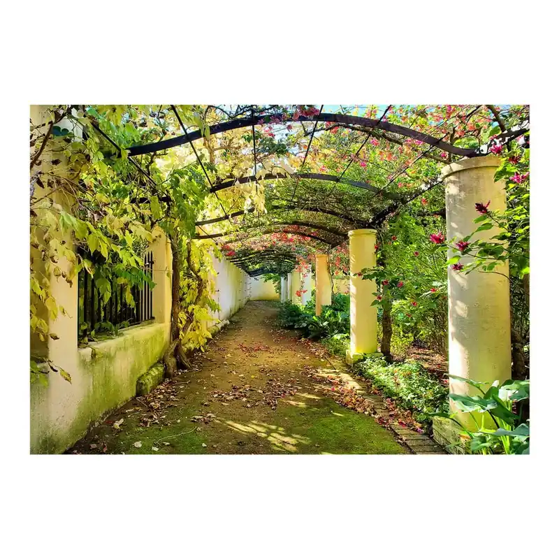 Sprawdź teraz Tapeta wielkoformatowa Bimago Pergola, 300x210 cm Bonami