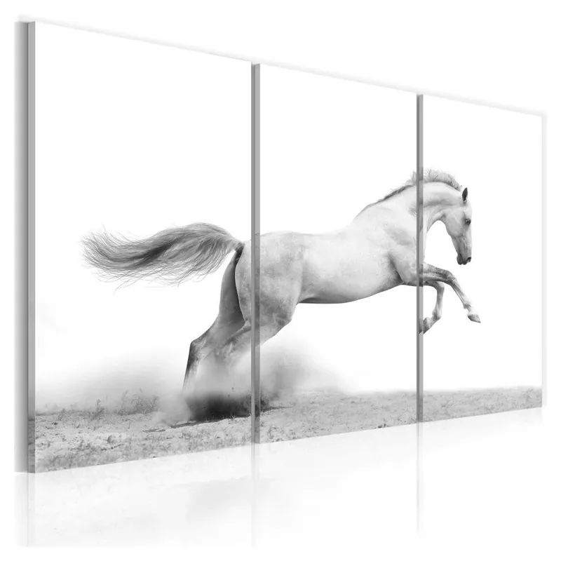 Tylko dziś Wieloczęściowy obraz na płótnie Bimago Horse, 80x120 cm Bonami
