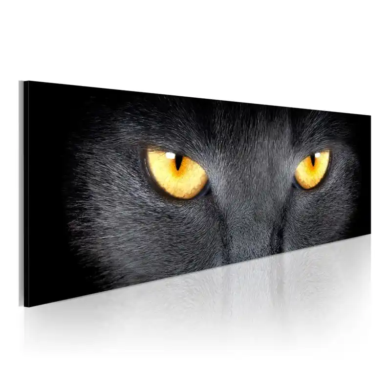 Taniej Obraz na płótnie Bimago Eyes, 120x40 cm Bonami