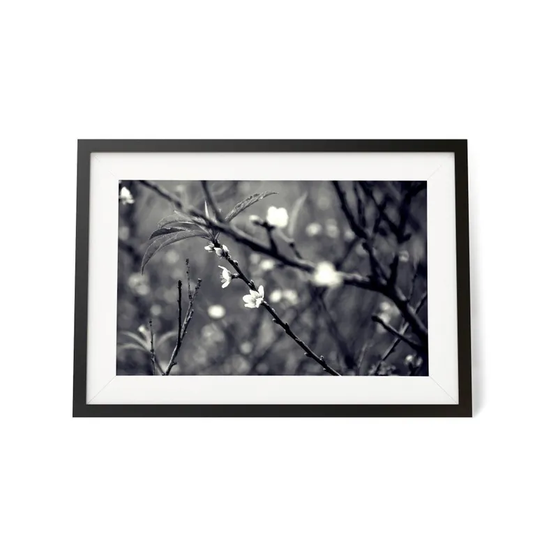 Najlepsza cena Plakat w ramie We Love Home Floreciendo, 40x50 cm Bonami